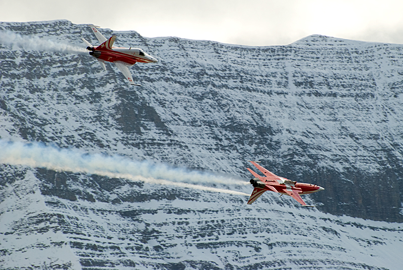 025_Axalp_Patrouille Suisse_F-5E Tiger.jpg